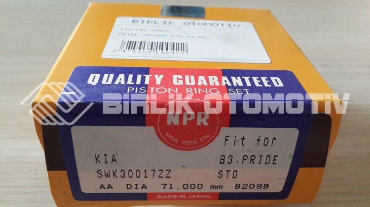 PRIDE-SEGMAN STD 99-01 PRIDE-SEGMAN STD 99-01